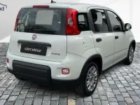 Gebraucht Fiat Panda 71 PS (52 kW) 2024 Gelatoweiss Kleinwagen