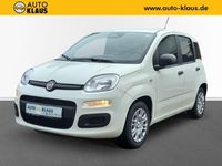 Neu Fiat Panda Icon 69 PS (50 kW) 2025 Weiss Limousine