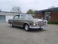 Gebraucht Mercedes W111 SE 150 PS (110 kW) 1966 Braun Coupé