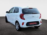 Gebraucht Kia Picanto Vision 67 PS (49 kW) 2024 Weiss ((ud) schneeweiss) Kleinwagen