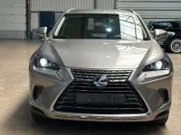 Gebraucht Lexus NX300h 155 PS (114 kW) 2018 Grau SUV