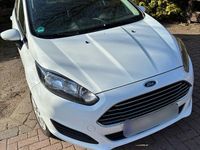 Gebraucht Ford Fiesta Trend 60 PS (44 kW) 2014 Weiß Kleinwagen