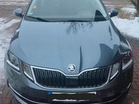 Gebraucht Skoda Octavia G-TEC Style 110 PS (80 kW) 2018 Grau Kombi