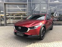 Neu Mazda CX-30 Go 186 PS (136 kW) 2026 Rot SUV
