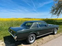 Gebraucht Ford Mustang 200 PS (147 kW) 1966 Grün Coupé