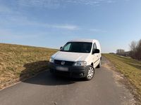 Second-hand VW Caddy 69 CP (50 kW) 2005 Alb Monovolum