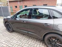 Gebraucht Ford Kuga ST-Line 150 PS (110 kW) 2020 SUV
