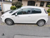 Gebraucht Fiat Punto Evo 77 PS (56 kW) 2009 Weiß Kleinwagen