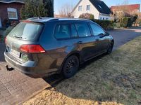 Gebraucht VW Golf VII Allstar 110 PS (80 kW) 2016 Grau Kombi