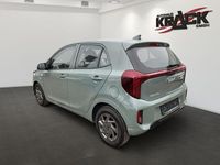 Neu Kia Picanto Vision 68 PS (50 kW) 2026 Grün Kleinwagen