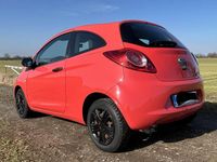 Gebraucht Ford Ka Trend 69 PS (50 kW) 2012 Rot Kleinwagen