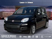 Neu Fiat Panda Icon 65 PS (47 kW) 2026 Schwarz Kleinwagen