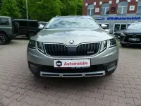 Gebraucht Skoda Octavia 150 PS (110 kW) 2018 Cappuccinobeige metallic (metallic) Kombi