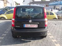 gebraucht Fiat Panda 1.2