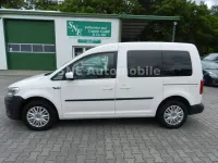 Gebraucht VW Caddy Trendline 102 PS (75 kW) 2019 Weiß Van / Kleinbus