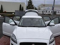 Gebraucht Jaguar E-Pace R-Dynamic 150 PS (110 kW) 2018 Weiß SUV