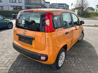 Gebraucht Fiat Panda Easy 69 PS (50 kW) 2018 Colore esterno (orange) Kleinwagen