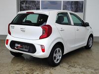Gebraucht Kia Picanto Edition 7 67 PS (49 kW) 2023 (ud) schneeweiss Kleinwagen