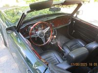 Gebraucht Triumph TR6 122 PS (89 kW) 1973 Grün Cabrio