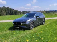Gebraucht Mazda CX-30 Selection 179 PS (131 kW) 2019 Grau SUV