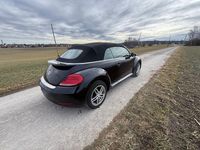 Gebraucht VW Beetle Allstar 105 PS (77 kW) 2016 Schwarz Kleinwagen
