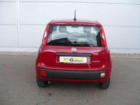 Neu Fiat Panda 69 PS (50 kW) 2025 Rot Kleinwagen