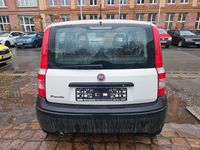 Gebraucht Fiat Panda Active 54 PS (39 kW) 2009 Weiß Kleinwagen