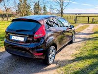 Gebraucht Ford Fiesta Titanium 90 PS (66 kW) 2009 Violet Kleinwagen