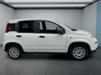Usata Fiat Panda 71 CV (52 kW) 2024 Bianco Utilitaria