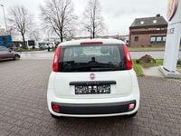 Gebraucht Fiat Panda Easy 69 PS (50 kW) 2019 Weiß Kleinwagen