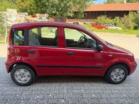 Gebraucht Fiat Panda 60 PS (44 kW) 2009 Rot Kleinwagen