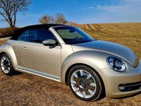 Gebraucht VW Beetle Design 105 PS (77 kW) 2013 Beige Kleinwagen