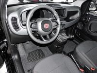 Gebraucht Fiat Panda 69 PS (50 kW) 2024 Schwarz Kleinwagen