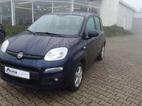 Gebraucht Fiat Panda Lounge 69 PS (50 kW) 2019 Mediterraneo blau metallic Kleinwagen