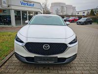 Gebraucht Mazda CX-30 Selection 150 PS (110 kW) 2022 Snowflake white pearl SUV