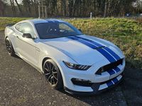 Gebraucht Ford Mustang 533 PS (392 kW) 2017 Weiß