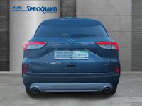 Gebraucht Ford Kuga Titanium 224 PS (164 kW) 2022 Blau SUV