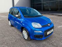 Neu Fiat Panda 69 PS (50 kW) 2025 Blau Limousine