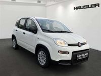 Gebraucht Fiat Panda 69 PS (50 kW) 2024 Weiß Limousine