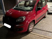 Gebraucht Fiat Panda Easy 69 PS (50 kW) 2014 Rot Kleinwagen