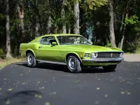 Occasion Ford Mustang Fastback 254 ch (186 kW) 1970 Vert Cabriolet