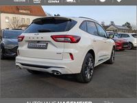 Neu Ford Kuga 182 PS (133 kW) 2026 Metropolisweiß metallic SUV