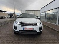 Gebraucht Land Rover Range Rover evoque Pure 150 PS (110 kW) 2015 Weiß SUV