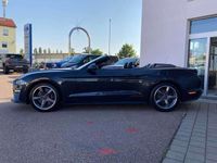 gebraucht Ford Mustang GT/CS Convertible V8 Aut. Navi/MagneRide