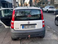 Gebraucht Fiat Panda 64 PS (47 kW) 2009 Weiß Kleinwagen