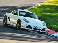 Gebraucht Porsche Cayman S 320 PS (235 kW) 2009 Weiß Coupé