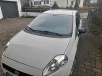 Gebraucht Fiat Punto 68 PS (50 kW) 2012 Weiß Kleinwagen