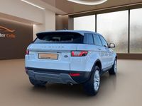 Gebraucht Land Rover Range Rover evoque SE 150 PS (110 kW) 2017 Weiß SUV
