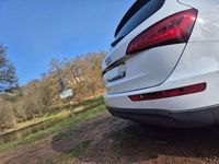 Gebraucht Audi Q5 150 PS (110 kW) 2013 Weiß SUV