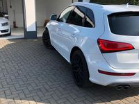 Gebraucht Audi SQ5 313 PS (230 kW) 2015 Weiß SUV